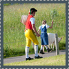 Alpaufzug 11