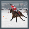 Engadin 2011